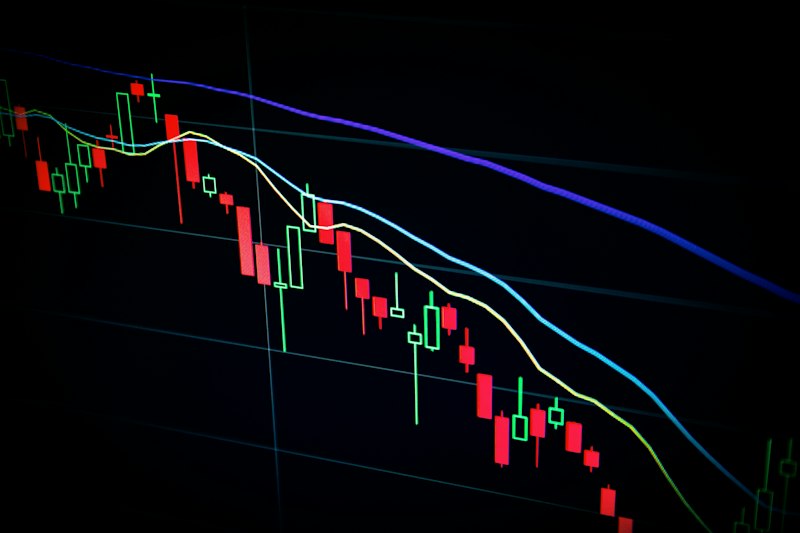 Principled long term investing